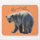 Search for rarely mouse mats Wildlife