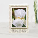 Search for white iris Flower