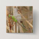 Search for green dragonfly badges Dragonflies