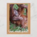 Search for dirty vertical postcards Animal