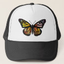 Search for monarch hats Butterfly
