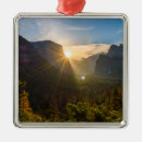 Search for sunset christmas tree decorations Dawn