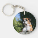 Search for boxer dog key rings Canine photographer