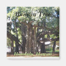 Search for banyan tree Hawaii
