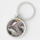 Search for cute otter key rings Wild animals