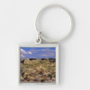 Search for provincial key rings Chuck haney