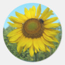 Search for sunshine sunflower stickers Cheerful