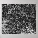 Search for crocodile posters Black