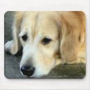 Search for thinking of you electronics Dogs