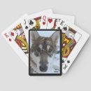 Search for wolf playing cards Black