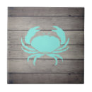 Search for rustic blue tiles Backsplash