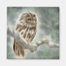 Search for beak square magnets Feathers
