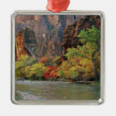 Search for virgin river christmas tree decorations Stream