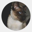 Search for pet friendly stickers Pets