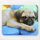 Search for lay mouse mats Animal
