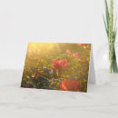 Search for rose bush cards Roses