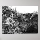 Search for white rock posters Photography