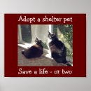 Search for animal shelter posters Spay