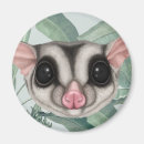 Search for gliders magnets Possum