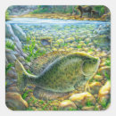 Search for river fish stickers Nature