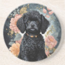Search for poodle coasters Puppy