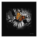 Search for gods grace posters Inspirational
