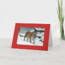 Search for blank christmas note cards Snow