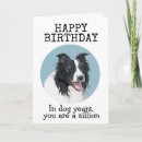 Search for border collie humor cards Humour