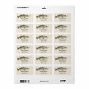 Search for trout return address labels For him