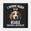 Search for so hard magnets Cute
