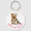 Search for yorkies round key rings Puppies