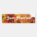 Search for daisy picture bumper stickers Orange