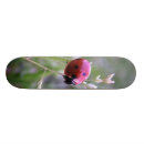 Search for ladybug skateboards Nature
