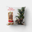 Search for christmas yorkie cushions Pet