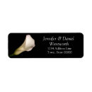 Search for white calla lily return address labels Flower