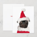 Search for pug puppy dog cards Cute