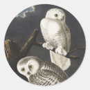 Search for audubon birds stickers John james audubon
