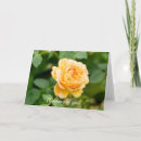 Search for thinking of you rose cards Summer