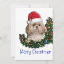 Search for shih tzu cards Funny