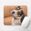 Search for beagle lover mouse mats Cute