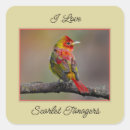 Search for scarlet stickers Bird