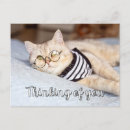 Search for hello kitty postcards Funny