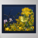 Search for cloudless Yellow