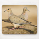 Search for mourning mouse mats Wildlife