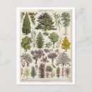 Search for plant trees postcards Botanical