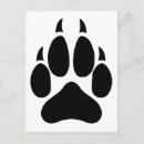 Search for wild wolves postcards Pack