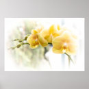 Search for yellow sunshine posters Bright