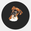 Search for boxer lover stickers Funny dog