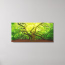 Search for oak canvas prints Nature