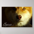 Search for beautiful wolves art Animals